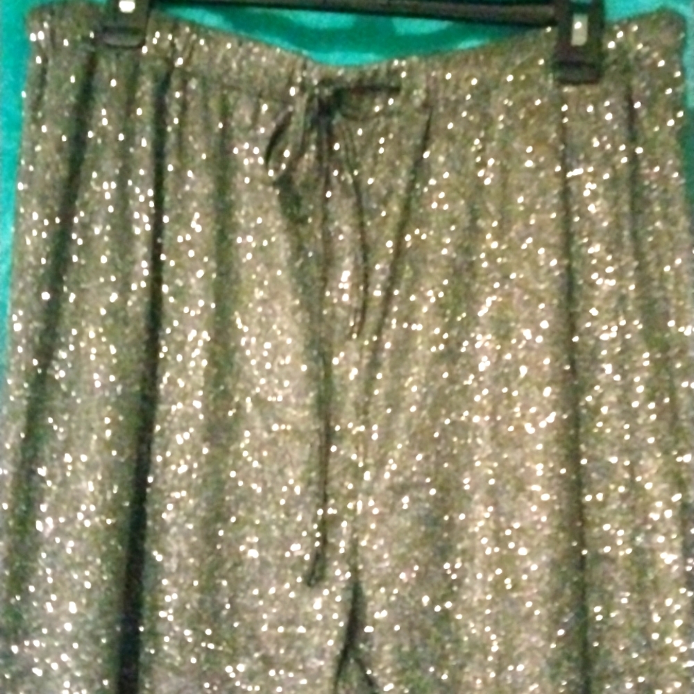 Sparkling dress pants